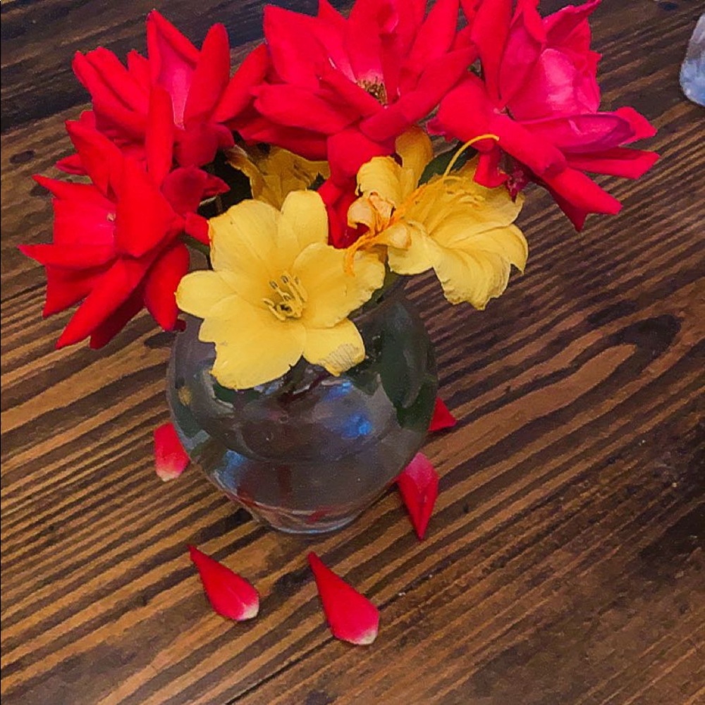 Meet your Posher, Payton